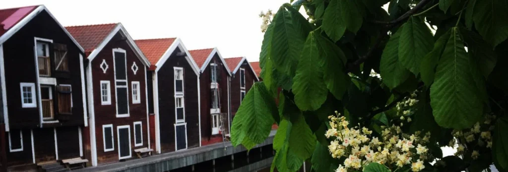 Möljen
